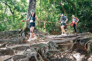 BIB: 
                            <button type="button" onclick="openModal(27720872)" class="btn btn-primary btn-sm float-right btn-popup" data-toggle="modal" data-target=".modal-high-quality">
                        <i class="fas fa-shopping-cart"></i> Add to Cart
                    </button>
                                            <button type="button" onclick="isThisMe(27720872, true)" class="btn btn-success btn-sm float-right btn-popup btn-isme hidden" data-toggle="tooltip" data-placement="bottom" title="นี่คือรูปของคุณใช่ไหม คลิกที่นี่เพื่อเอาเข้าอัลบั้ม">
                        <i class="fas fa-plus"></i> Add to album
                    </button>
                    <button type="button" onclick="isThisMe(27720872, false)" class="btn btn-warning btn-sm float-right btn-popup btn-isnotme hidden">
                        <i class="fas fa-ban"></i> Remove from album
                    </button>